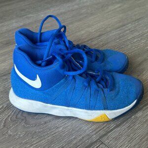 Nike KD Trey 5 V Warriors Blue Yellow Basketball Shoes Kids Size 13C AA8760-400